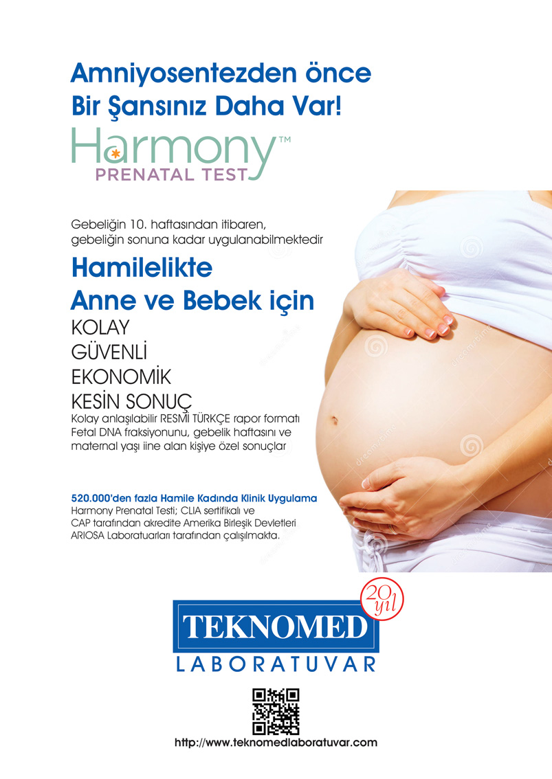 Harmony Test Harmony Test
